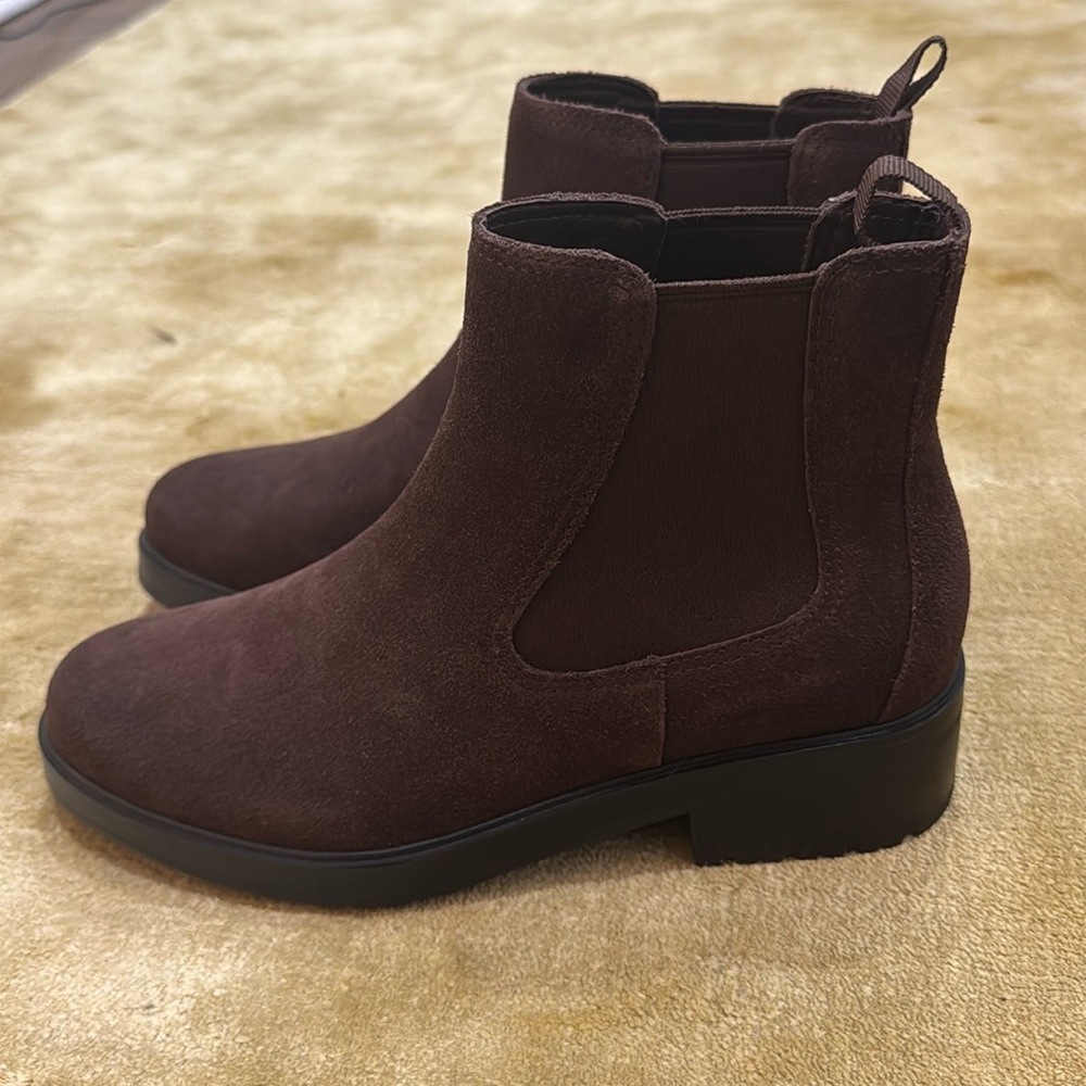 Everlane Chelsea boot in brown suede.